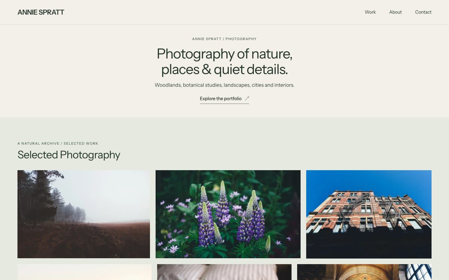 Independent Annie Spratt photography portfolio concept with an editorial introduction and a grid of nature photographs