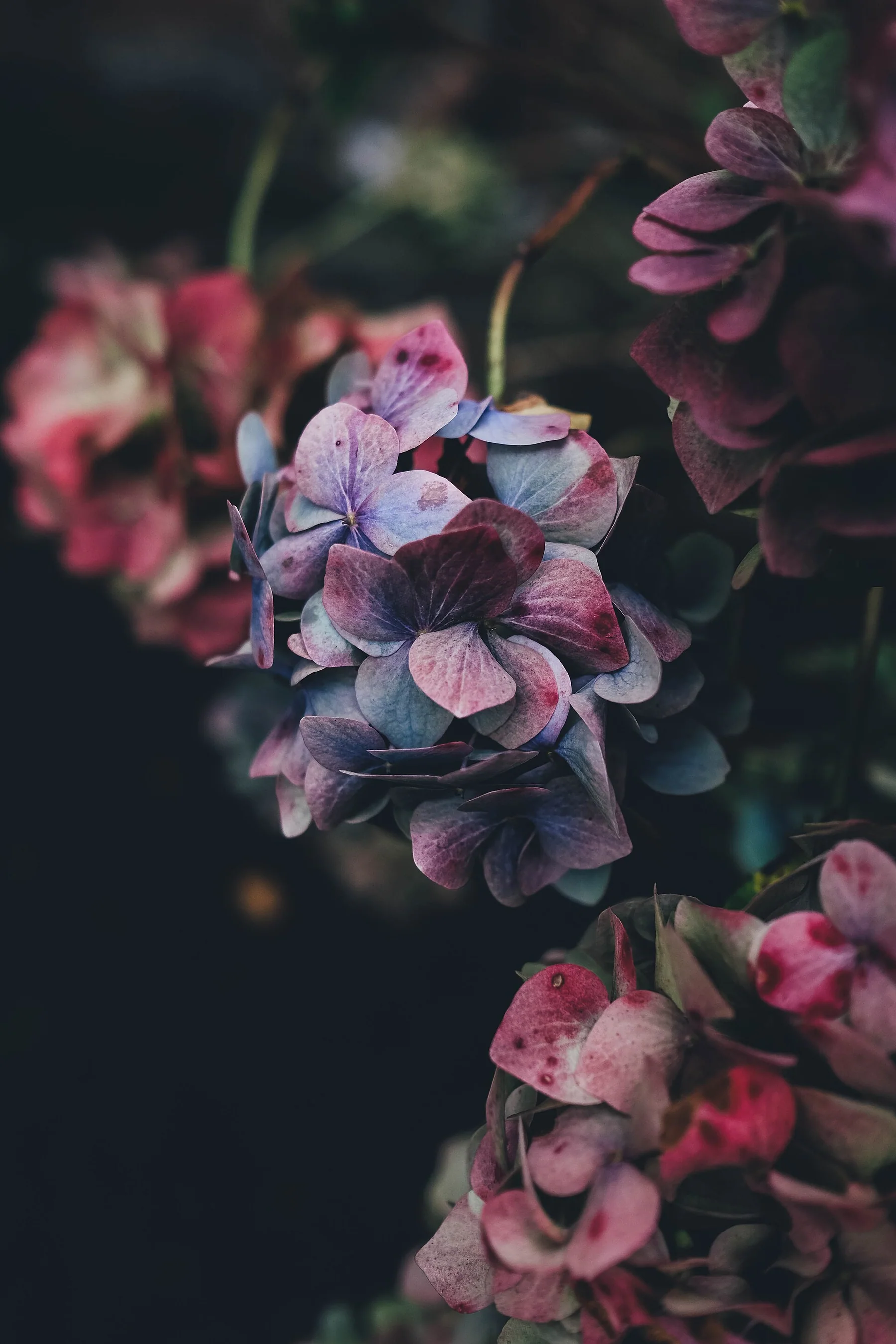New Forest District, United Kingdom New Forest District, United Kingdom (Unsplash vs6a4EHj Ro)