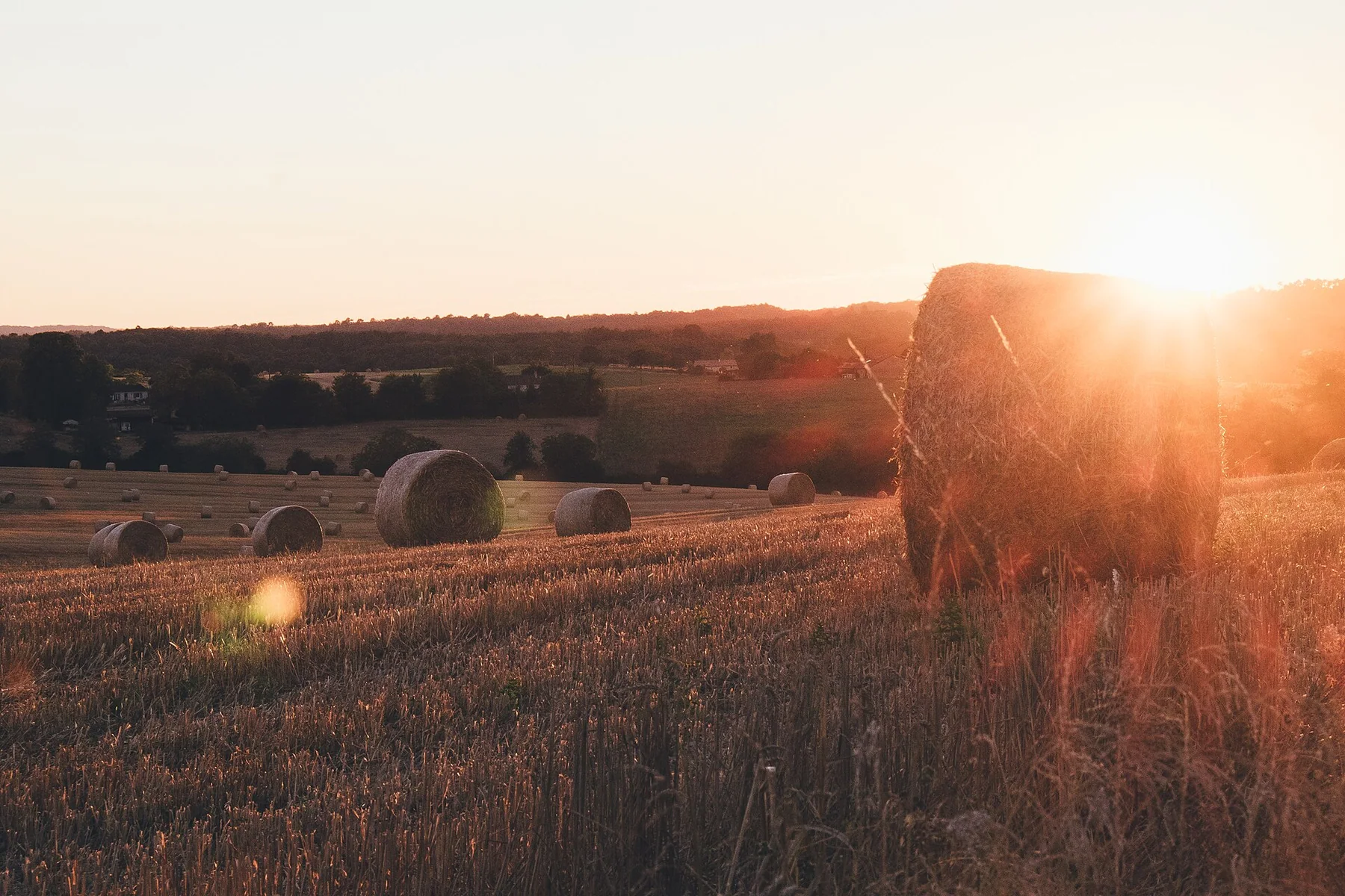 Bourdeilles, France Bourdeilles pastures sunset (Unsplash)