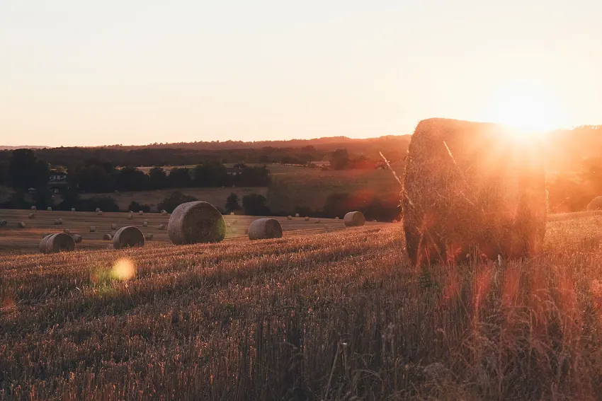 Bourdeilles, France Bourdeilles pastures sunset (Unsplash)