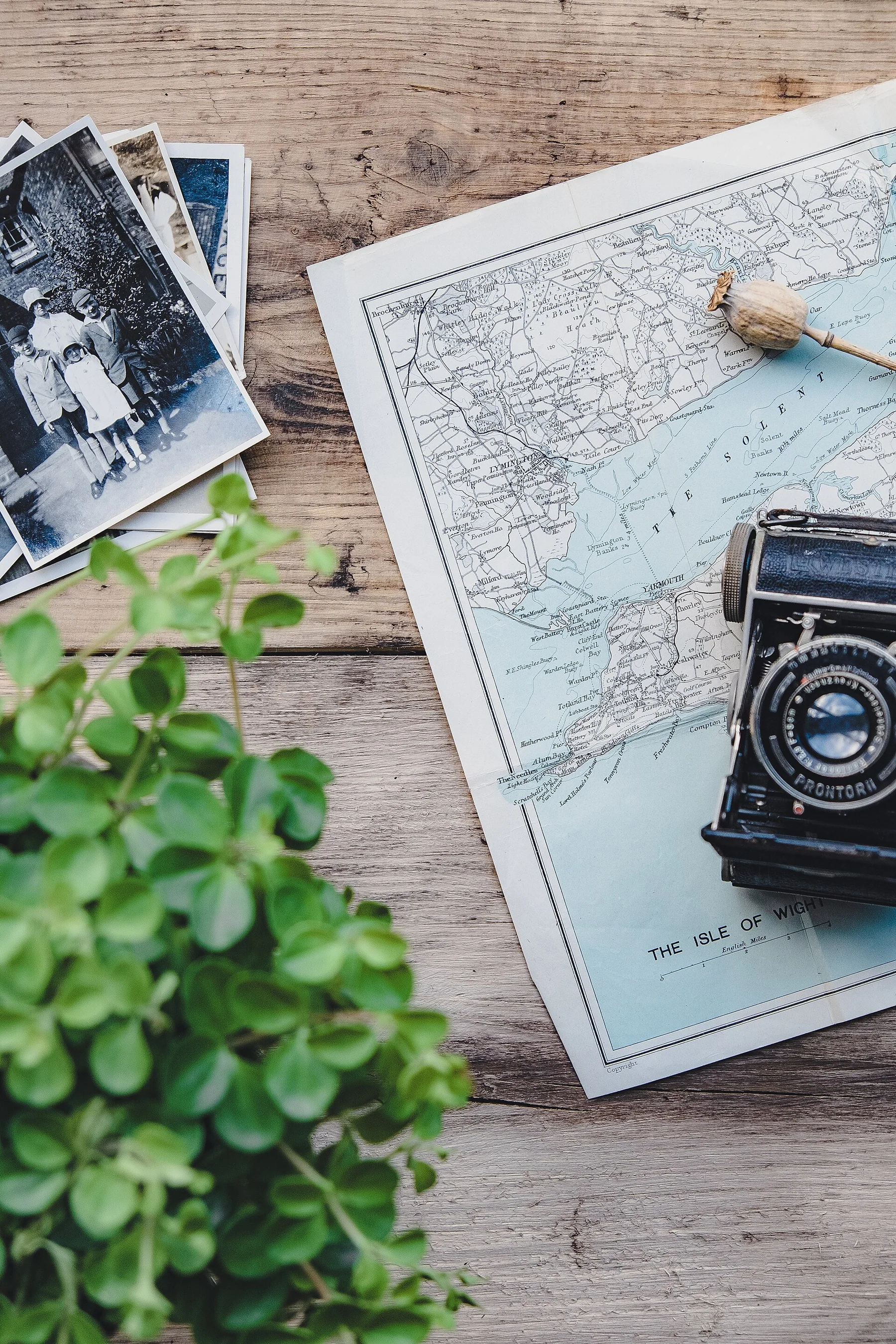 Camera, papers, and leaves arranged on a wooden desk