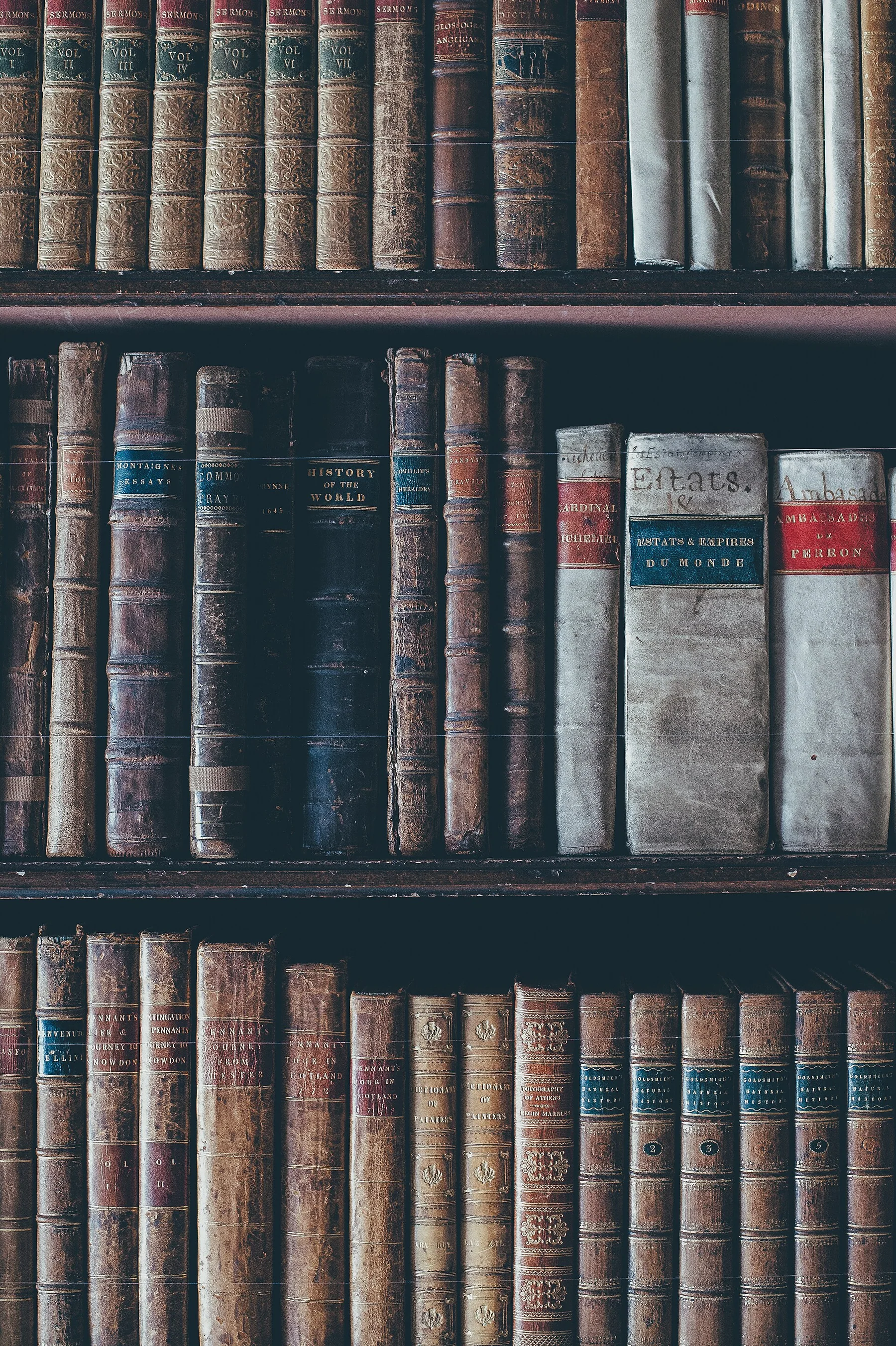 Rows of aged books on a dark library shelf