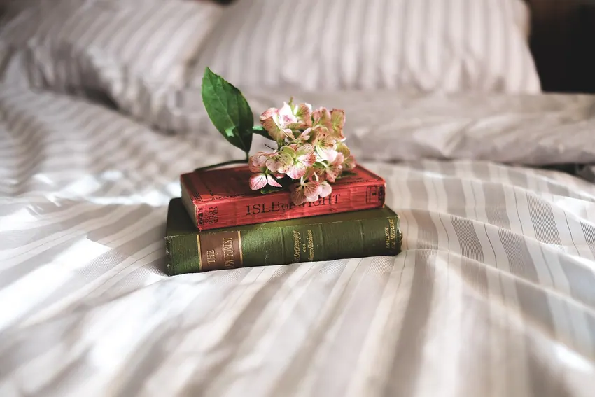 Small flowers resting on closed books and pale fabric