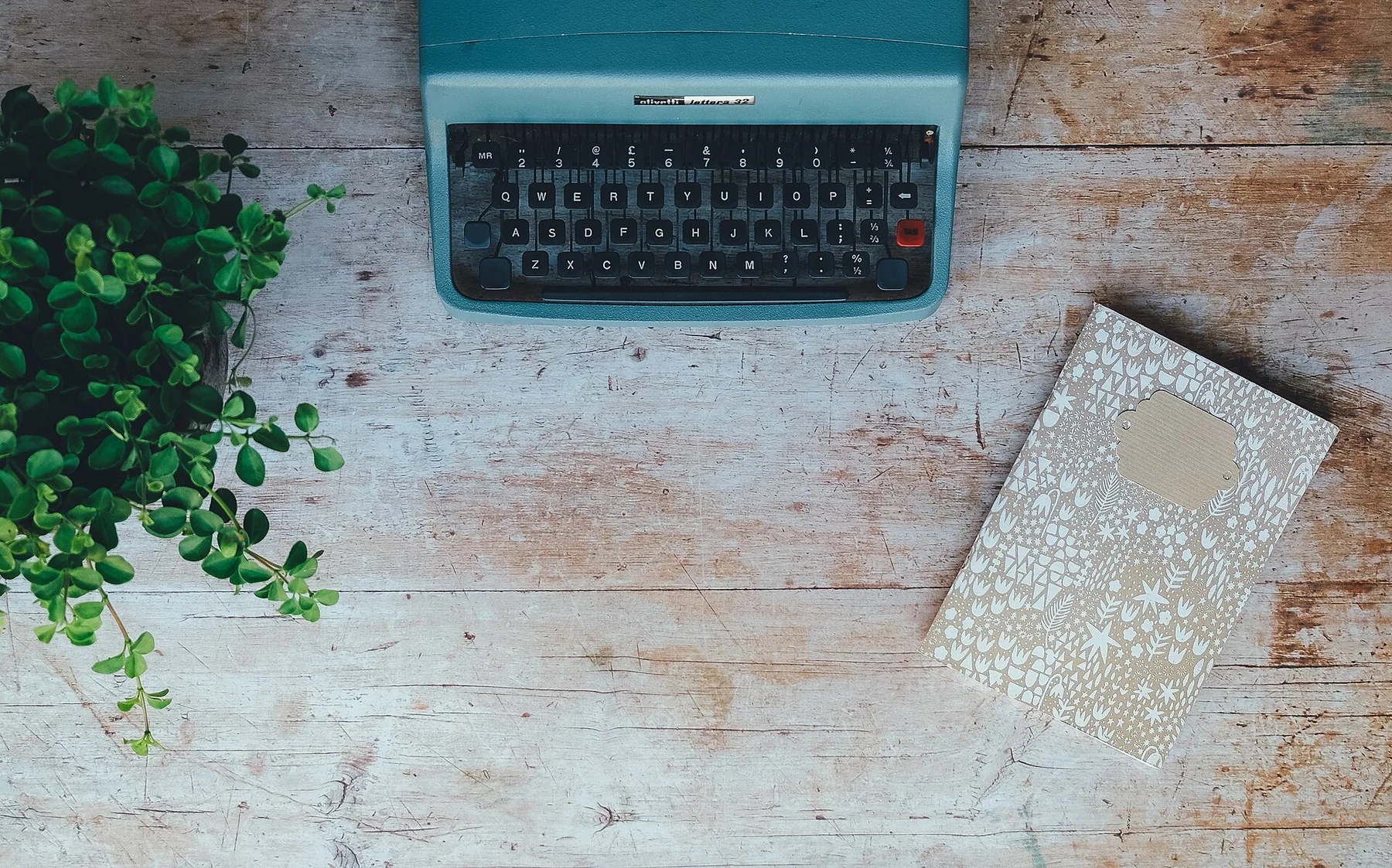 Typewriter, book, and small plant on a weathered desk